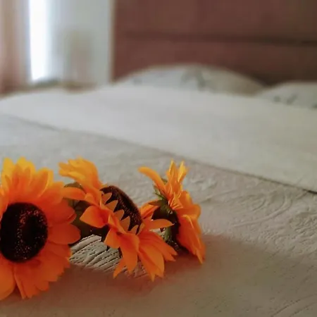Sunshine Apartment